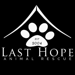 last hope logo